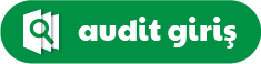 audit